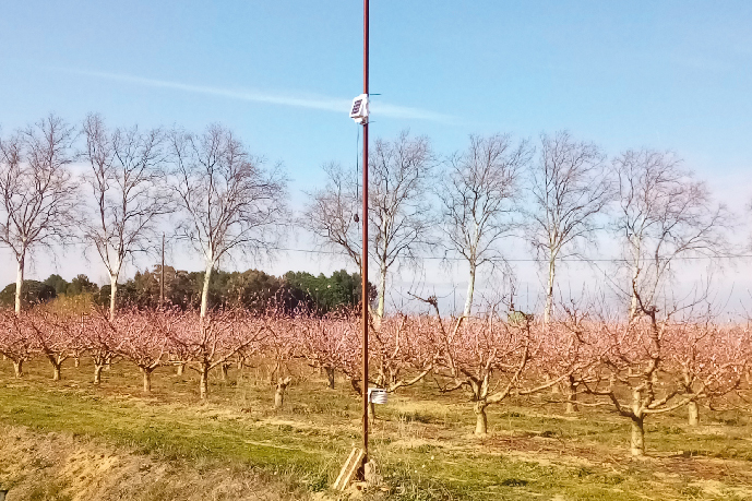 Station météo dans le verger pour raisonner
l’irrigation, les phytos et la lutte anti-gel